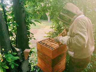Martin Wittner bei der Imkerei
